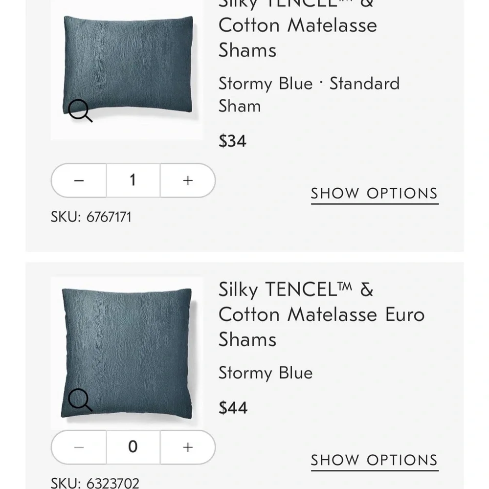 West Elm Blue TENCEL Shams Euro Set